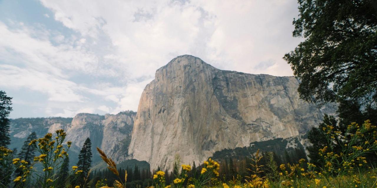 Autocamp Yosemite Hotell Midpines Eksteriør bilde